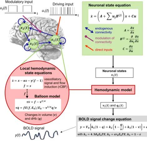Figure 3. Summary of the Classical Deterministic DCM for fMRI