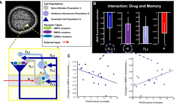 Figure 4. A Prototype Computational Assay for Inferring DA Effects on Glutamate Receptor Conductances Adapted, with permission, from Moran et al