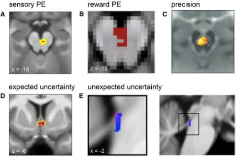 Figure 6. Computational fMRI Studies of Neuromodulation