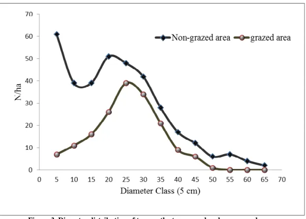 Figure 4. Comparison of tree Percent in the two grazed and non-grazed area 