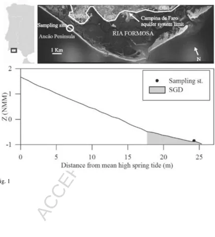Fig. 1  
