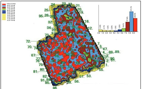 Figure 1. Yield map of maize with sample points (1999, Ács,  0419/18-27topographic number) 