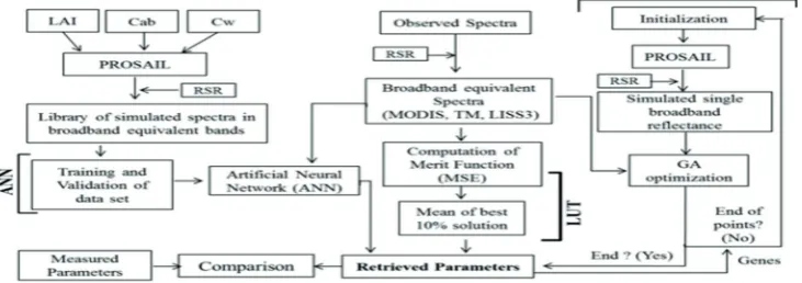 Fig. 1. Flow chart showing steps involved in the look-up table (LUT), genetic algorithm (GA), and artificial neural network (ANN) approaches.