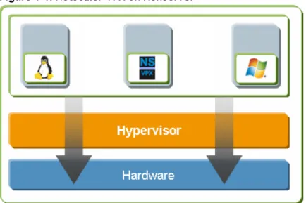 Figure 1-1. NetScaler VPX on XenServer