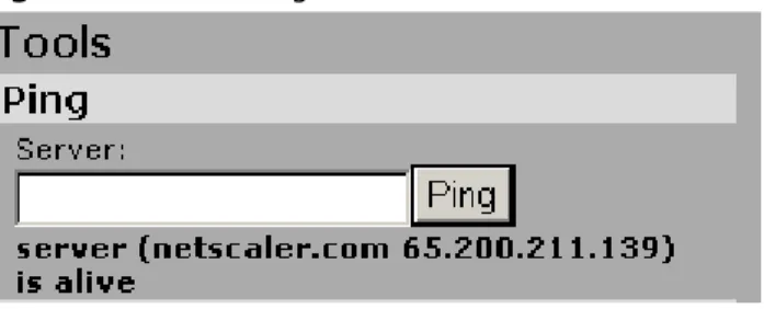 Figure 2-9   The Ping Tool