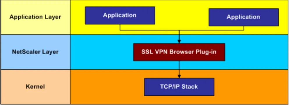 Figure 1-1   Interception of the SSL VPN browser plug-in