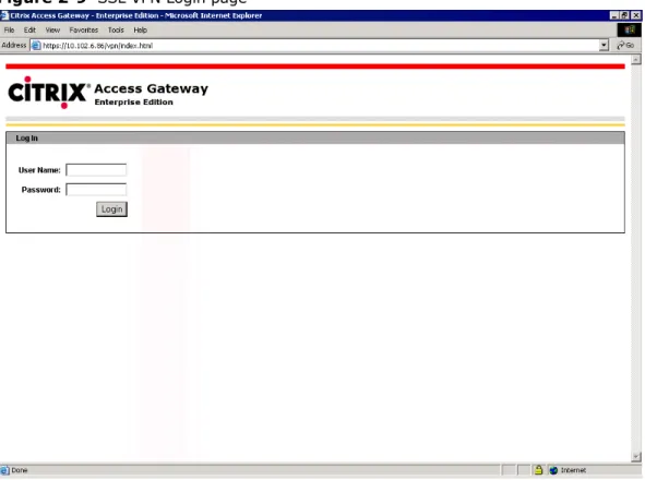 Figure 2-9   SSL VPN Login page 