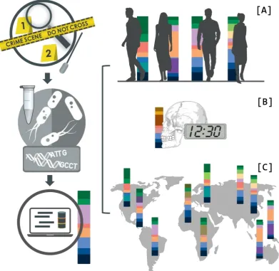 Figure 3 . Illustration of the information that can be gained from the microbiome at a crime site, which could be used to identify individuals if no human DNA based identification is possible by e.g., reducing the suspect pool (A)