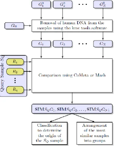 Figure 1 The processing pipeline for classifying metagenomic reads 