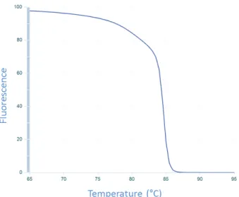 Figure  3.4  –  Schematic  representation  of  the  decrease  in  fluorescence  resulting  from  intercalating dye release during the separation  of  the  double  strands  of  a  PCR  product