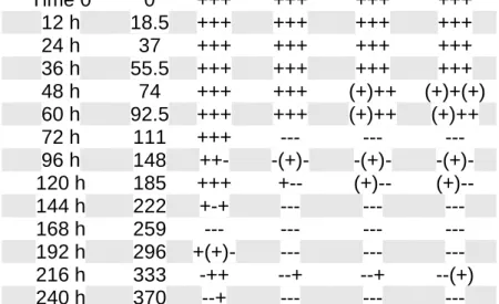 Table  4.3  –  Table  showing  the  results  of  the  4-Plex  multiplex  amplification for  samples incubated at 37 °C