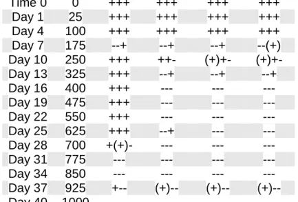 Table  4.1  –  Table  showing  the  results  of  the  4-Plex  multiplex  amplification for  samples incubated at 25 °C.