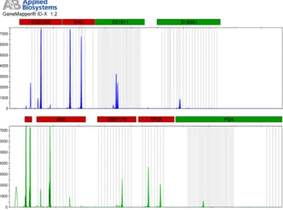 Figure 1.5: Electropherogram profile example with 8 STR loci and amelogenin.