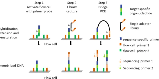 Figure 1-5 Oligonucleotide selective sequencing
