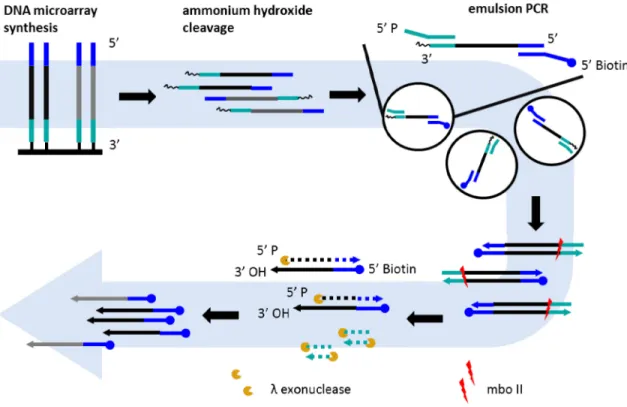 Figure 2-1 Process overview 