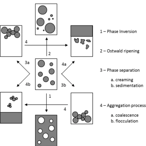 Figure 2-3 Emulsion breakdown processes
