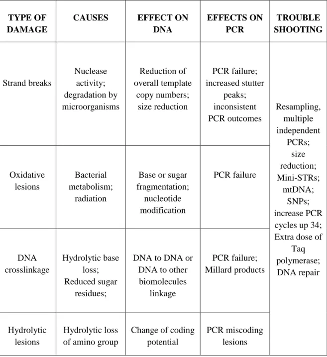 TABLE 1- Overview over different types of damage in aged DNA (21,23). 
