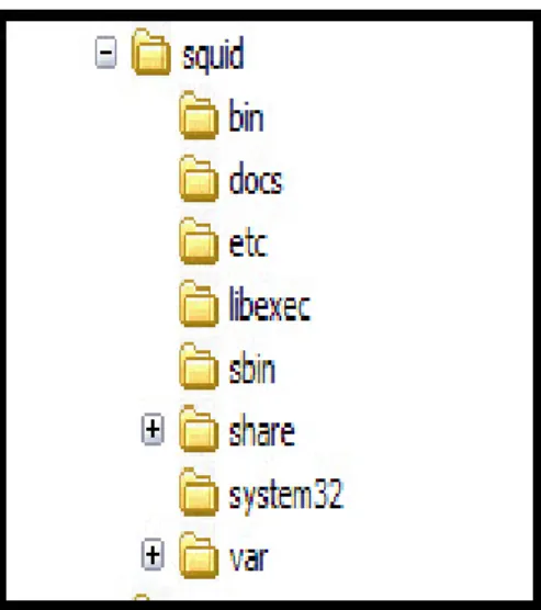Figure 7: Directory Structure of Squid 