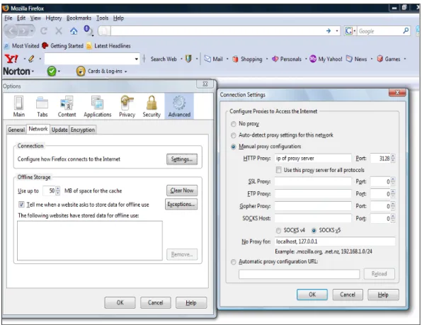 Figure 8: Configure browser with Squid 