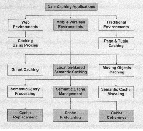 Figure  1.1:  A  data  caching  taxonomy.