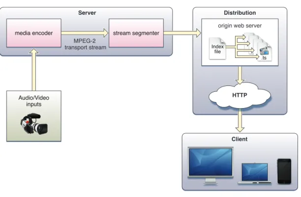 Figure 2.1: HLS configuration