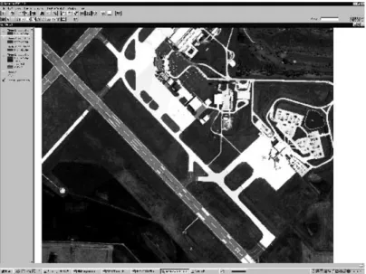 Fig. 4. Original image:  the objective is to extract only the thin white lines on the  runway 