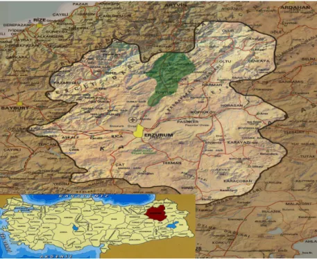 Figure 1. Location of study area 