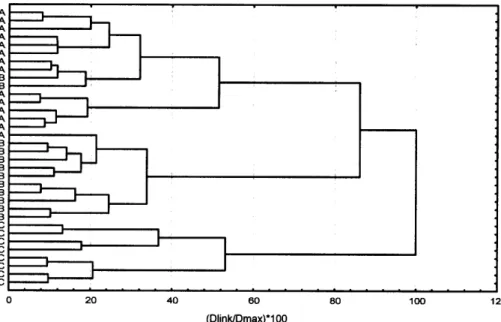 Fig. 1. Cluster dendrogram of 34 seed bank samples from flood-meadows calculated by the Ward algorithm with squared Euclidean distance; A =  func-tional flood-plain, B = hybrid plain, C = fossil  flood-plain.