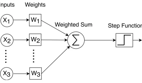 Figure 2.1: The Basic Perceptron Model