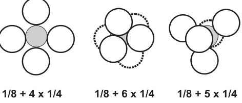 Fig. 2. A diploid 1/8 blastomere