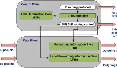 Figure 2.2 - MPLS architecture 6