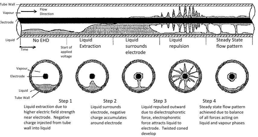 Figure 24: Illustrative representation of the various steps in the development and decay of the twisted liquid cone structures, image adapted from Ng [75]  