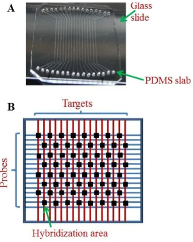 Figure 1.  An image of the NBA chip (A), and a schematic of the analysis procedure (B)