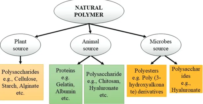 Fig. 1: Based on the sources, classification of natural polymer and their examples