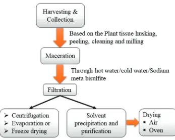Fig. 2: Schematic diagram for the general extraction process of natural polymers