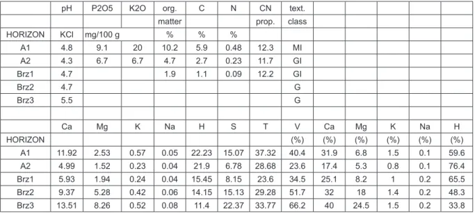 Table 6: Soil profile description (profile 6) Tabela 6: Opis pedološkega profila (profil 6) Profile 6 