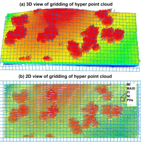 Fig. 4. The gridding of the hyper point cloud (HPC). (a) 3D view of the HPC with grid-nets