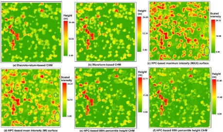 Fig. 7. Comparisons of the (a) DR-based CHM, (b) waveform-based CHM, (c) HPC-based maximum intensity (MAXI) surface, (d) HPC-based mean intensity (MAXI) surface, (e) HPC-based 99th PH CHM and (f) HPC-based 95th PH CHM over a subset region