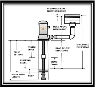 Figure 1. The Structure of the Vertical Wet Pump. 