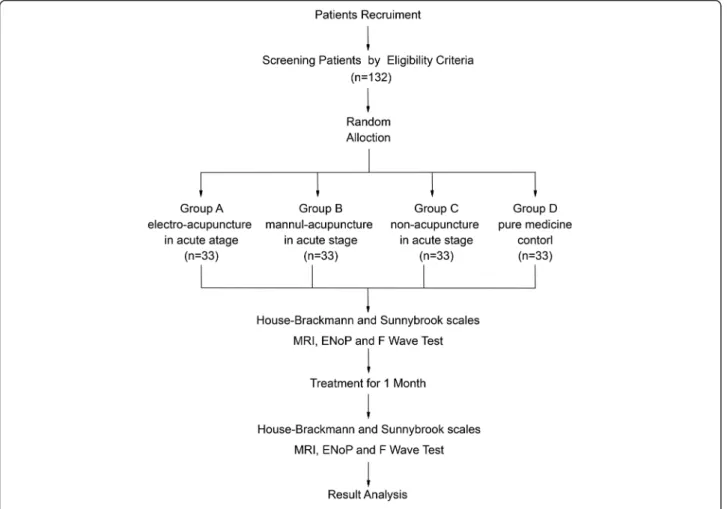 Fig. 1 Flowchart of the study. ENoP neural electrophysiological