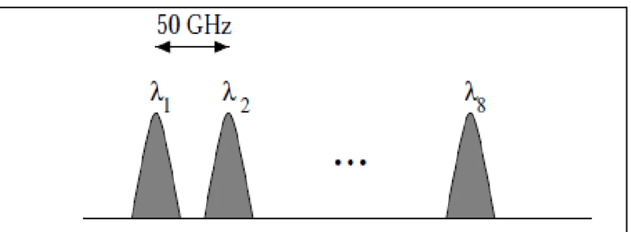 Figure 2 : The optical spectrum and 8 wavelength channels. 