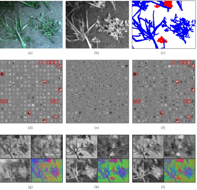 Figure 7: We show the filter weights and output probabilities per class for three different networks, when presented with images shown in (a) and (b)