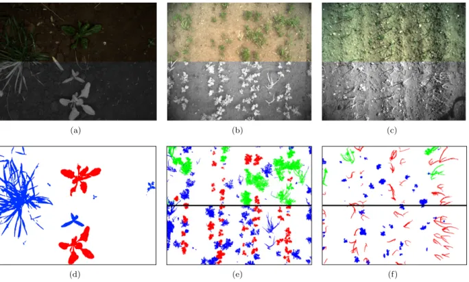 Figure 3: Examples of input images and ground truth for the three datasets. The input images are shown in (a) for SB16, (b) for CA17 and (c) for ON17, with the top half of the image showing the RGB image and the bottom the NIR channel
