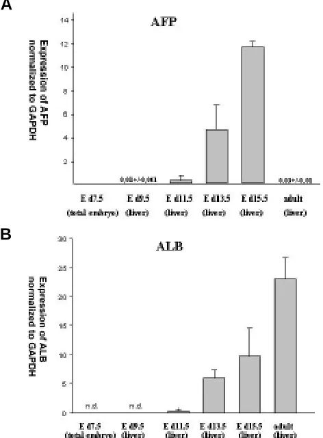 Fig. 1. Patterns of AFP and ALB expression in mice at different stagesof liver development