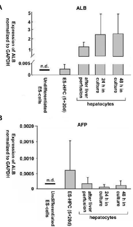 Fig. 5. Expression profiles of transcription factors in ES-HPC atdifferent stages of differentiation