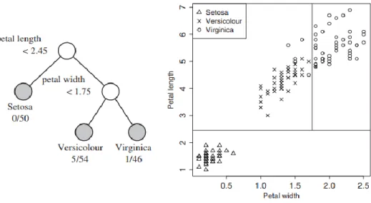 Figure 17:Classification tree model for iris dataset [42] 