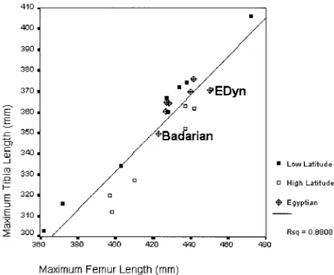 TABLE 6. ANOVA results for body segment ratios by time period, employing hierarchical model, correcting initially for sex1