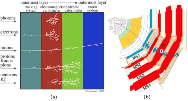 Figure 1.12: Paths of different particles traversing different CMS subdetectors (a) and pictorial representation of a muon traversing the CMS muon detectors (b)