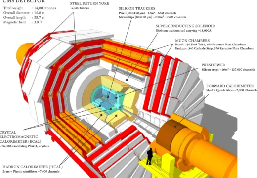 Figure 2.5: Cutaway view of the CMS detector, based on a three-dimensional representation, an highlighting the main detecting systems and characteristics