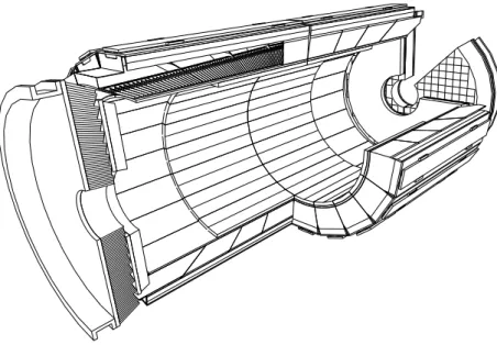 Figure 2.7: Cutaway view of the CMS electromagnetic calorimeter, based on a tree- tree-dimensional model of the detector geometry